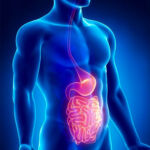 gastro-1